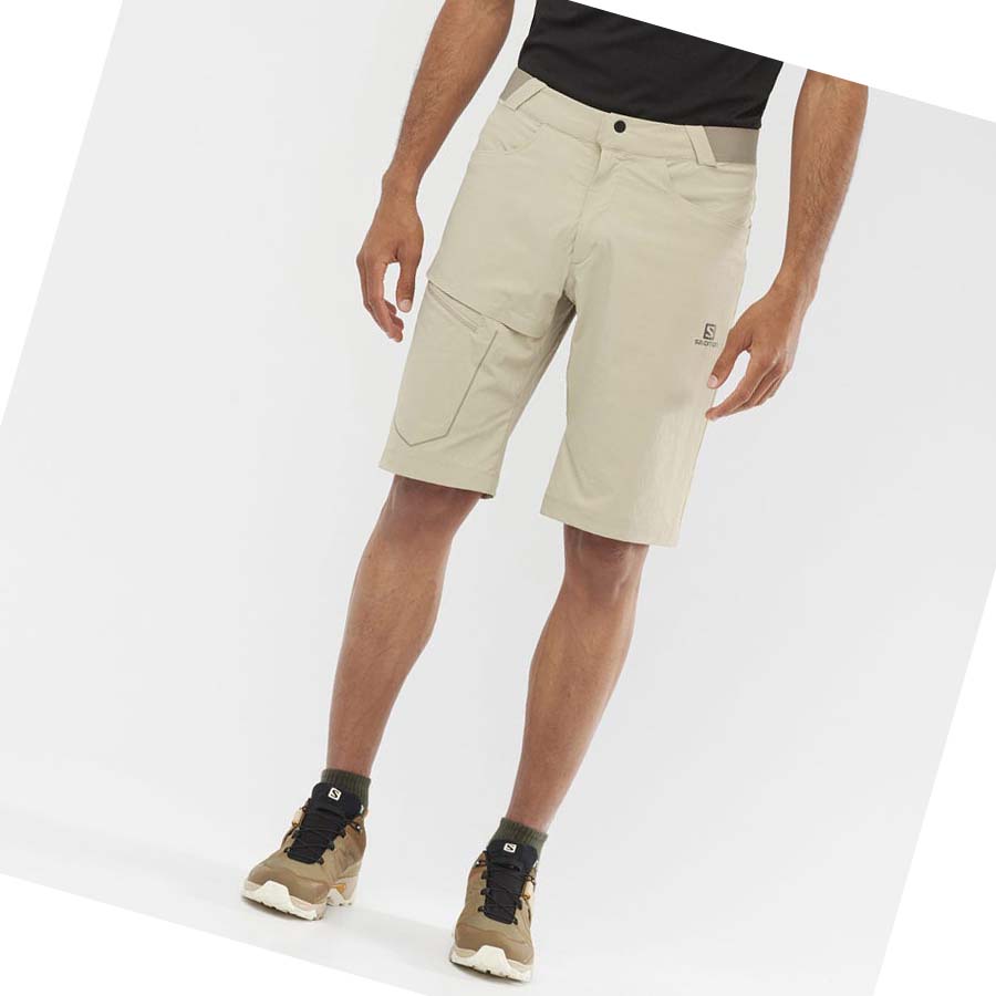 Bermudas Salomon WAYFARER Hombre Beige | MX 3147NWY